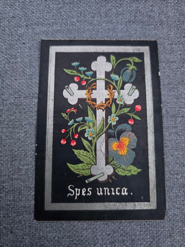 Doodsprentje 1887 , Schulen, Ophalen of Verzenden, Bidprentje