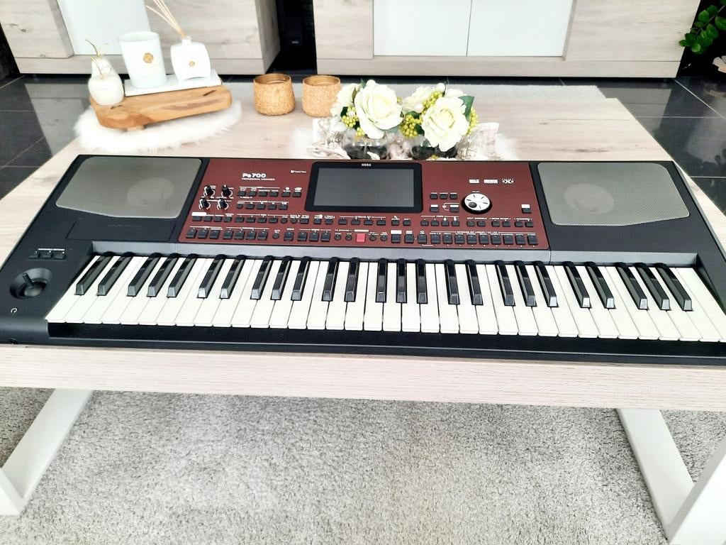 Korg pa 700, Musique & Instruments, Claviers, Enlèvement, Korg