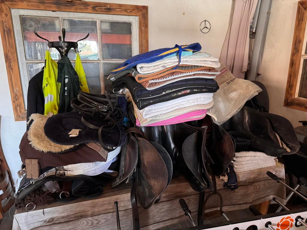 Paardenspullen, Dieren en Toebehoren, Ophalen