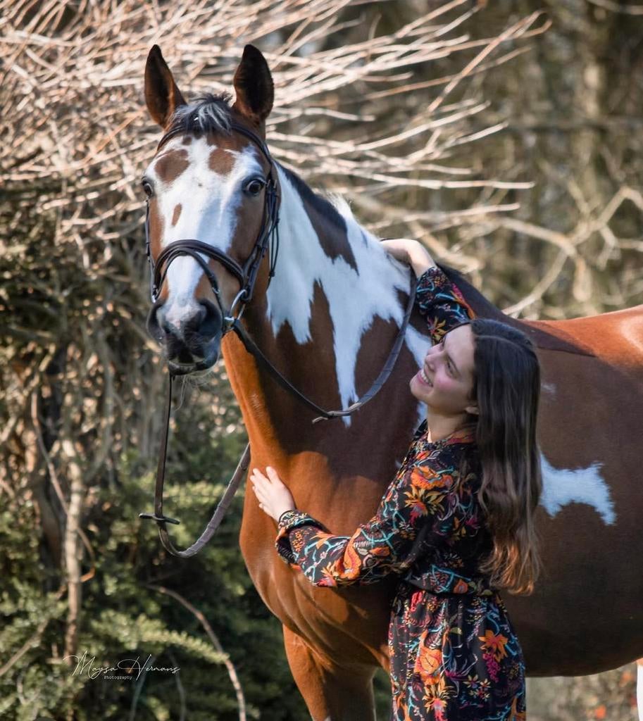 Prachtige allround merrie, Jument, Z, 11 ans ou plus