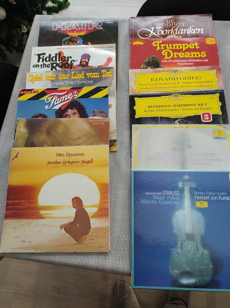40 vinyl langspeelplaten + 2 opbergboxen, Ophalen, Gebruikt, 12 inch, Europees