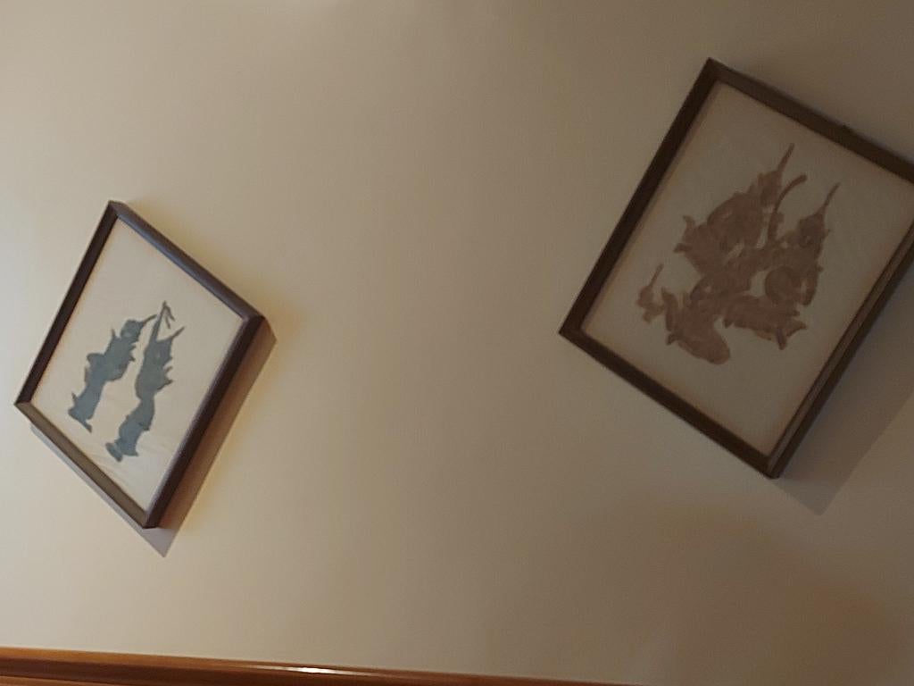 2 indische tekeningen in kader, Antiek en Kunst, Ophalen