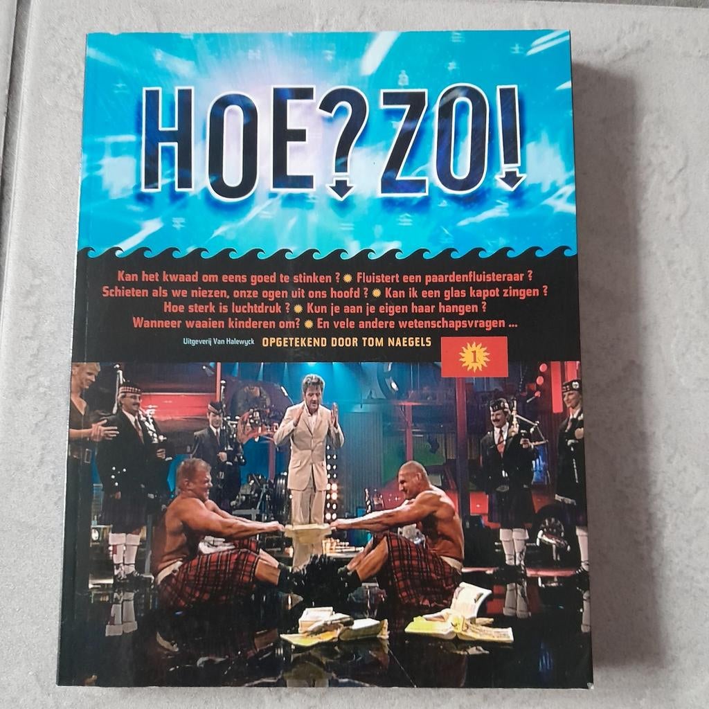 Tom Naegels - Hoe? zo!, Boeken, Ophalen, Zo goed als nieuw, Tom Naegels