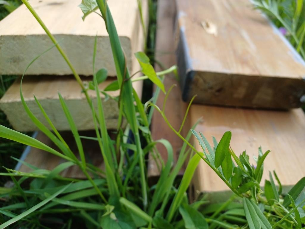houten balken 10 stuks op 3meter zijn 45x140, Tuin en Terras, Ophalen of Verzenden, Zo goed als nieuw, Balken
