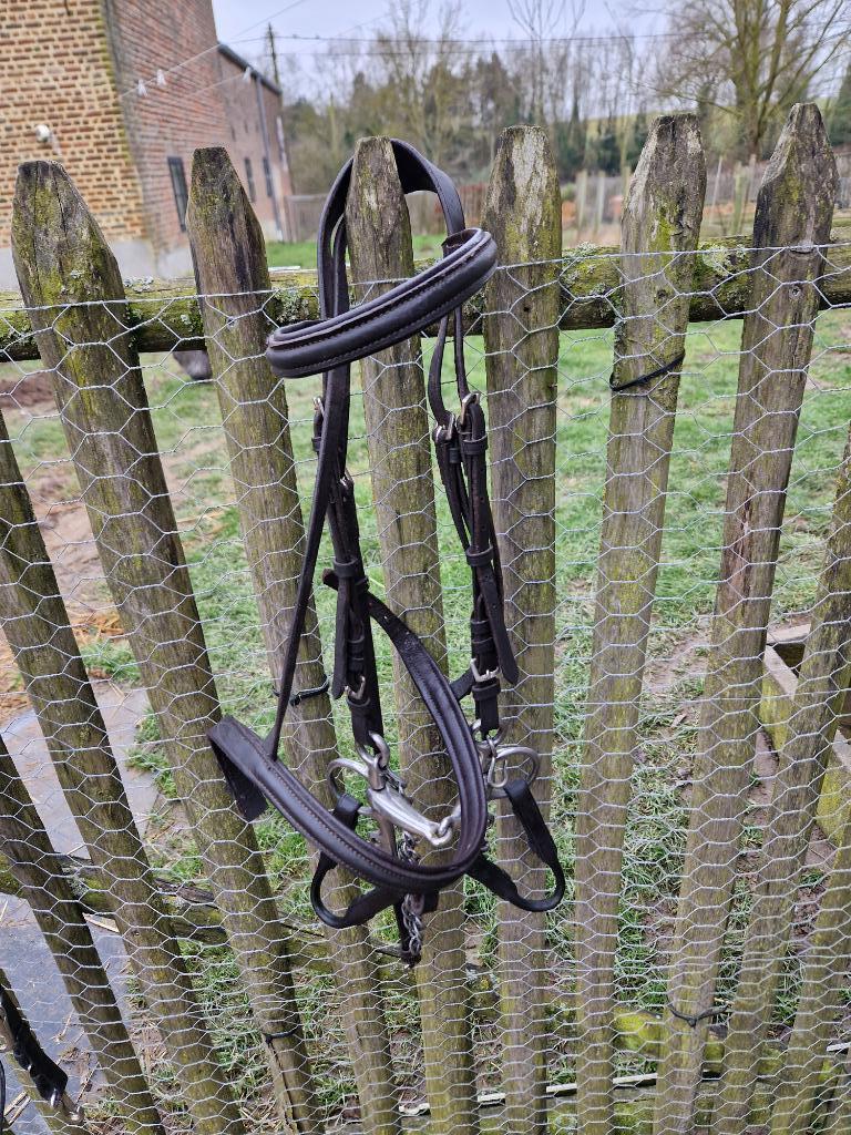 Pony kopstuk met bit & martingale, Dieren en Toebehoren, Ophalen of Verzenden, Gebruikt