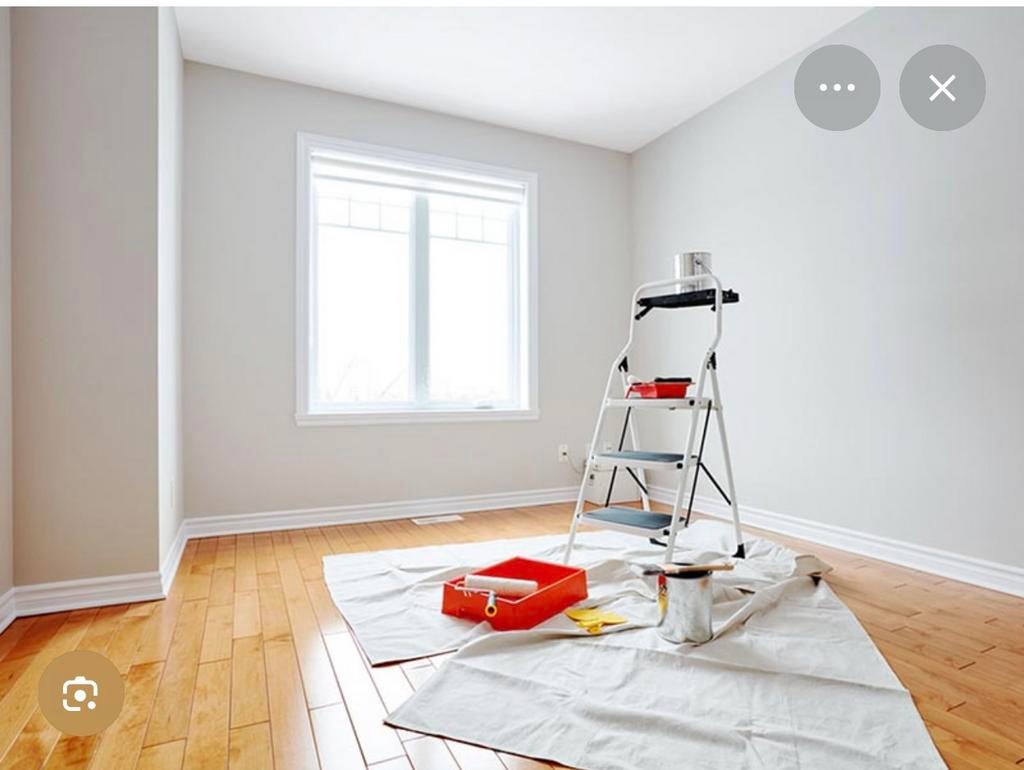 Professioneel schilderwerken .