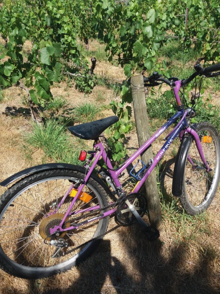 Vélo Filles +/- 10 ans, Vélos & Vélomoteurs, Enlèvement, Utilisé, Minerva