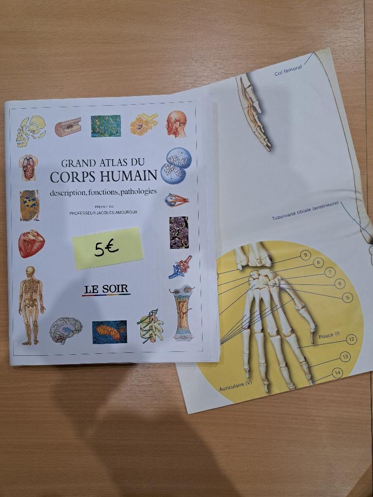 Grand Atlas du corps humain, Enlèvement, Neuf