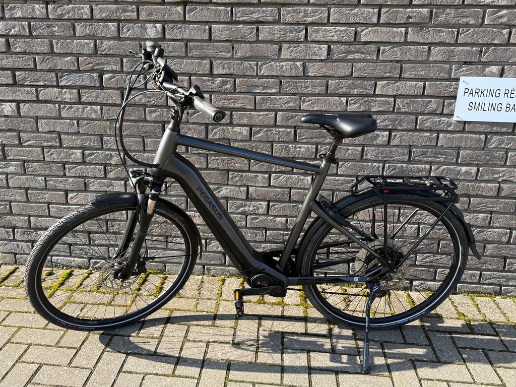 Vélo électrique Pegasus Premio Evo 12 Lite 625Wh, Autres marques, 50 km par batterie ou plus, 59 cm ou plus, Enlèvement