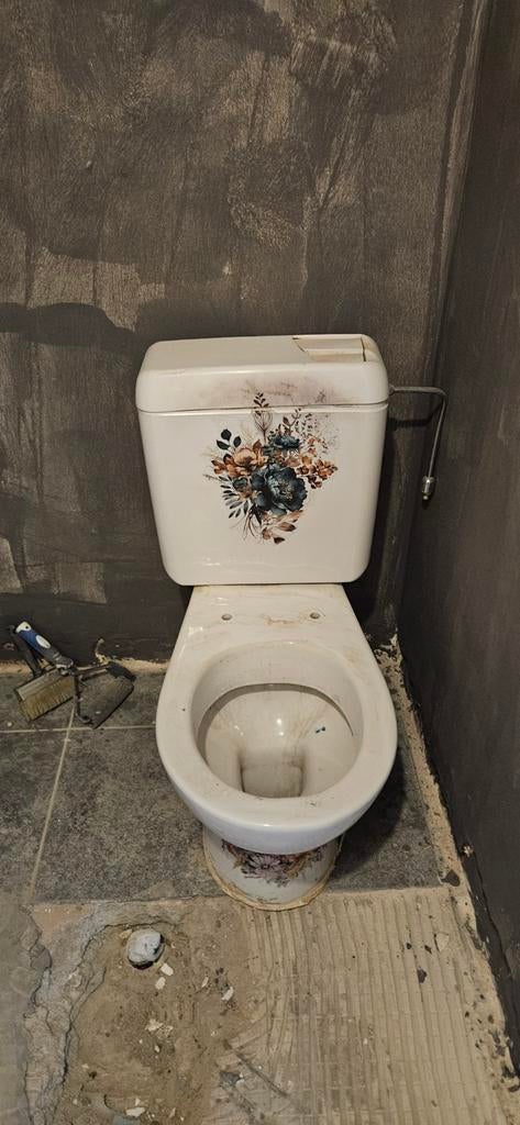 Toilette wc a donner, Enlèvement