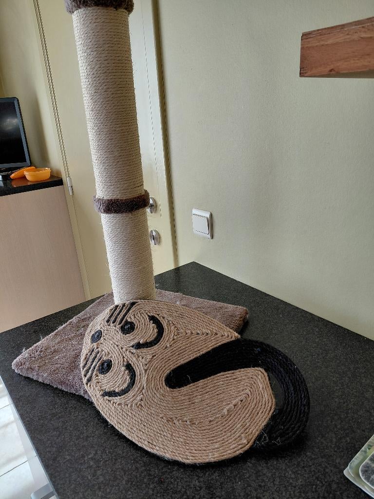 Poezen, Ophalen, Nieuw, Kat