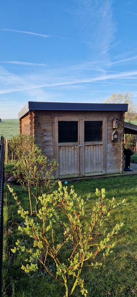 Abri de jardin, Jardin & Terrasse, Abris de jardin, Abri de jardin, Bois, Enlèvement