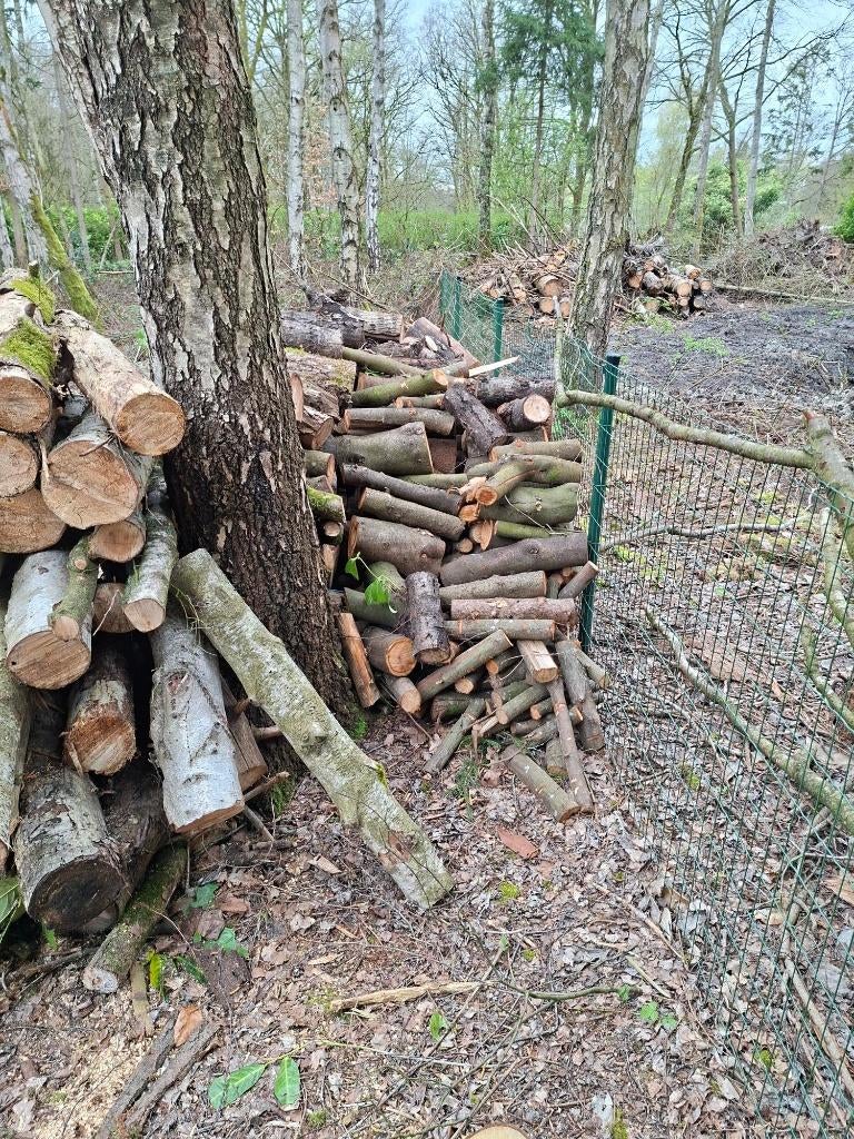 Blokken hout, 3 tot 6 m³, Ophalen, Overige houtsoorten, Blokken