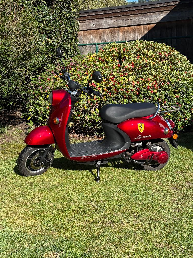 Trottinette e-Leone, E-leone, 0 cm³, Enlèvement, Utilisé