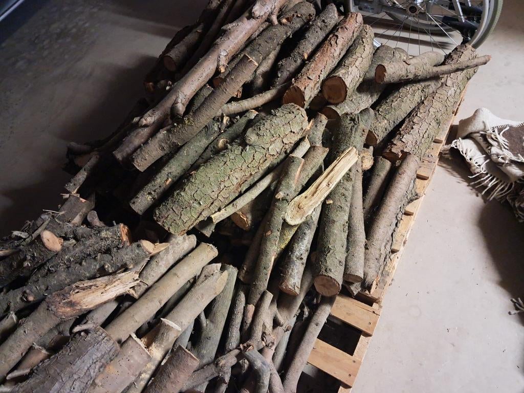 bois sec, Bricolage & Construction, Bois & Planches, Enlèvement