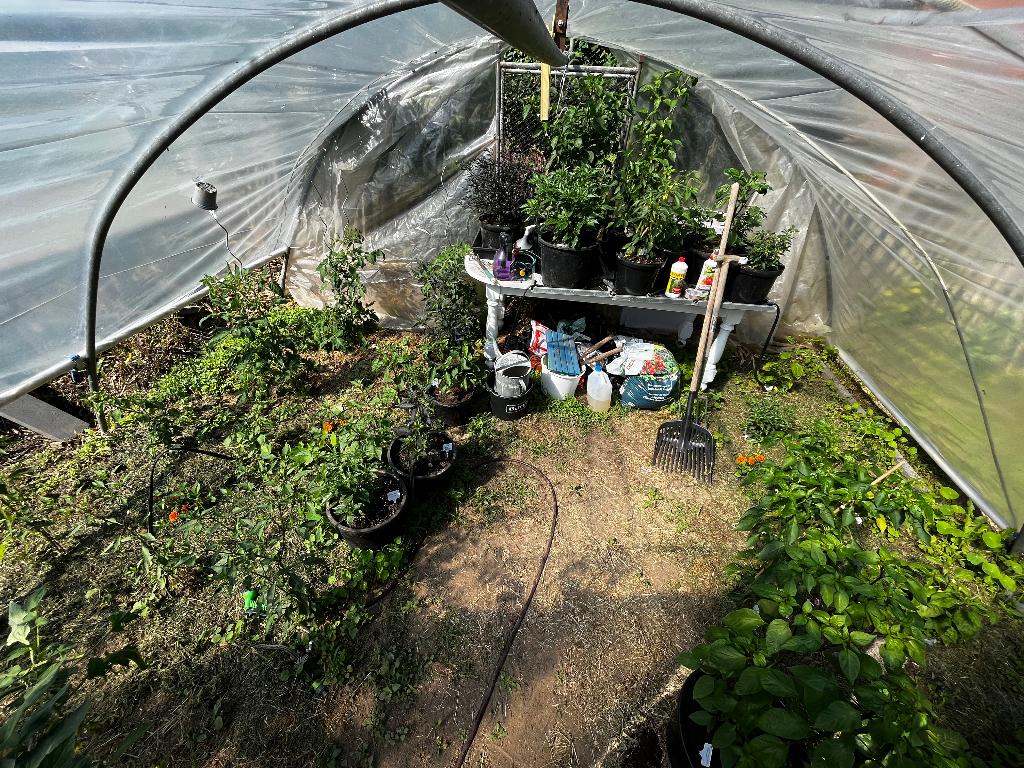 Tunnelserre buizen., Tuin en Terras, Overige Tuin en Terras, Gebruikt, Ophalen