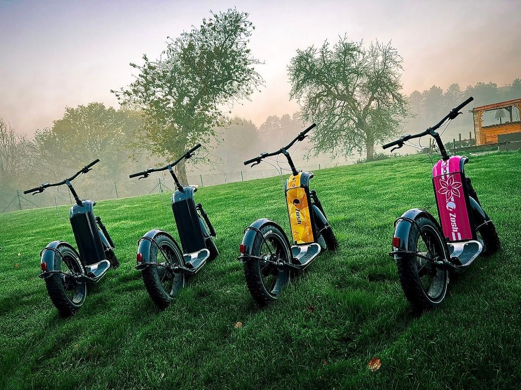 Trottinette Zosh tout terrain 25 km/h (3 de disponible), Vélos & Vélomoteurs, Trottinettes, Enlèvement, Utilisé, Step électrique (E-scooter)