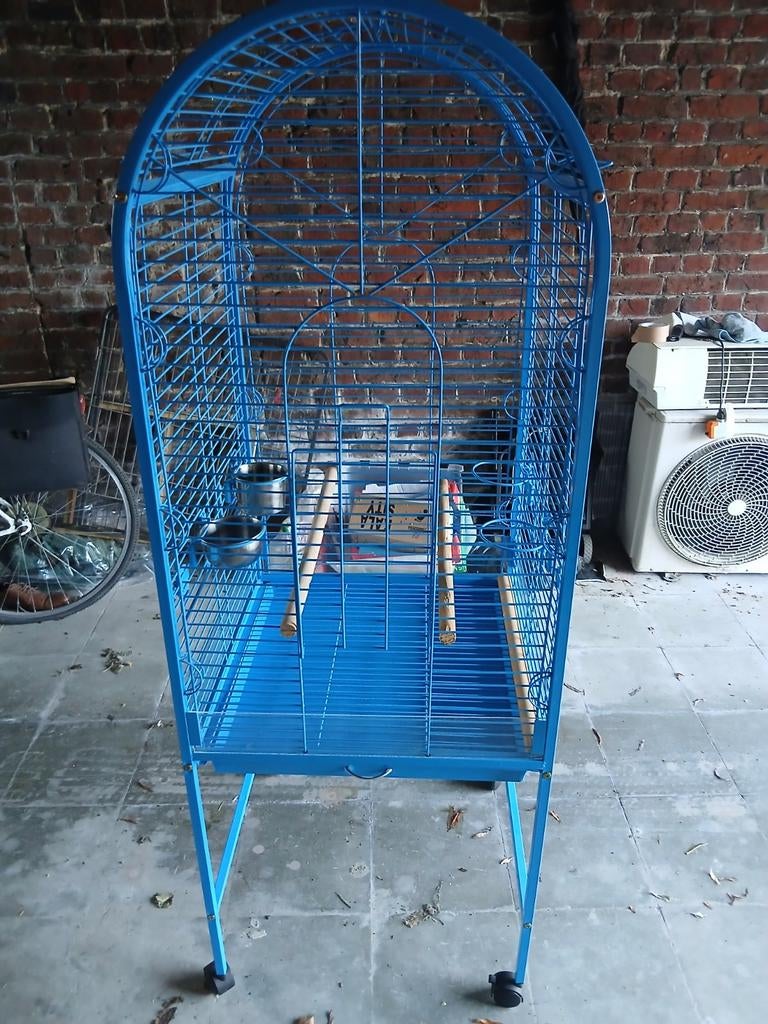 Kool te koop prijs 60 euro afhalen aalbeke