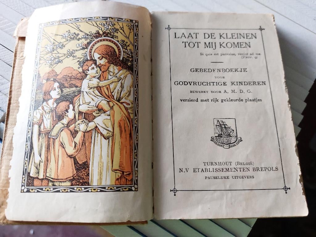 gebedenboekje voor godvruchtige kinderen, Ophalen of Verzenden, Gebruikt, Boek, Christendom | Katholiek