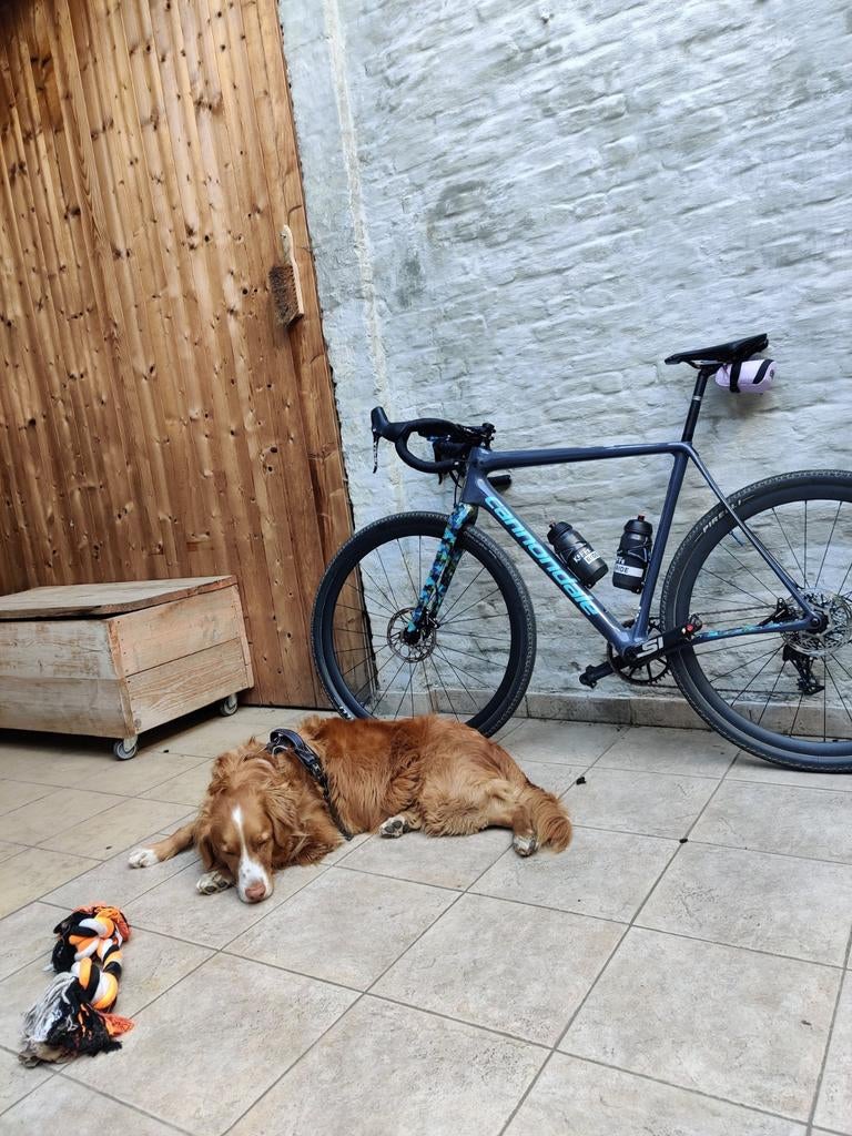 Cannondale SuperX cyclocross - gravel, Fietsen en Brommers, Fietsen | Heren | Sportfietsen en Toerfietsen, Ophalen