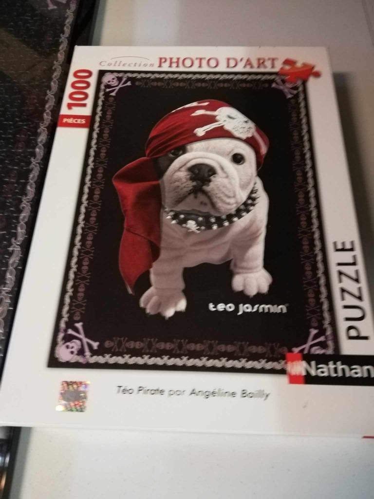 Puzzle Bulldog - Téo Jasmin - Nathan, Enlèvement, Comme neuf