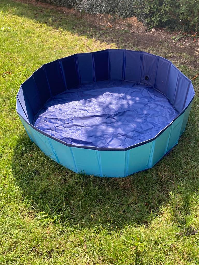 Honden zwembad zo goed als nieuw, Ophalen, Zo goed als nieuw
