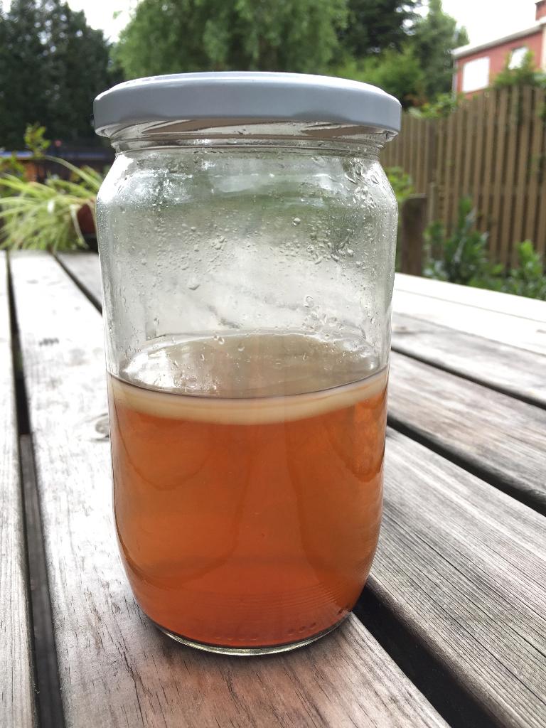 Gratis gemakkelijk recept voor Kombucha, Diversen, Levensmiddelen, Ophalen of Verzenden