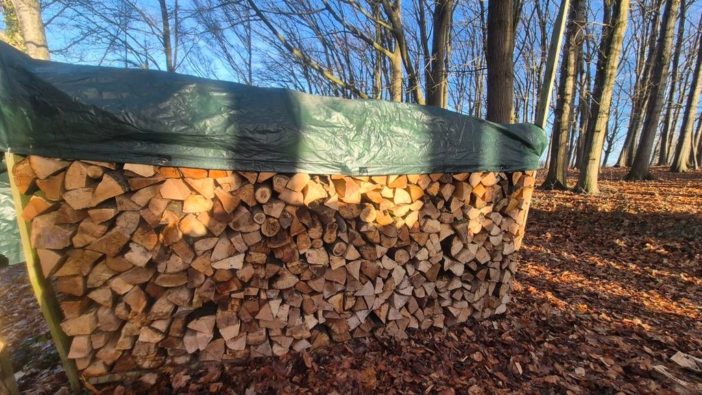 Beukenhout, Tuin en Terras, Ophalen, Beukenhout