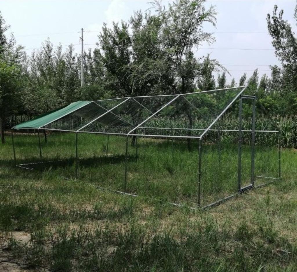 Poulailler 32m² enclos parc 8x4x2,80m enclos grillagé poules, Envoi, Neuf, Poulailler