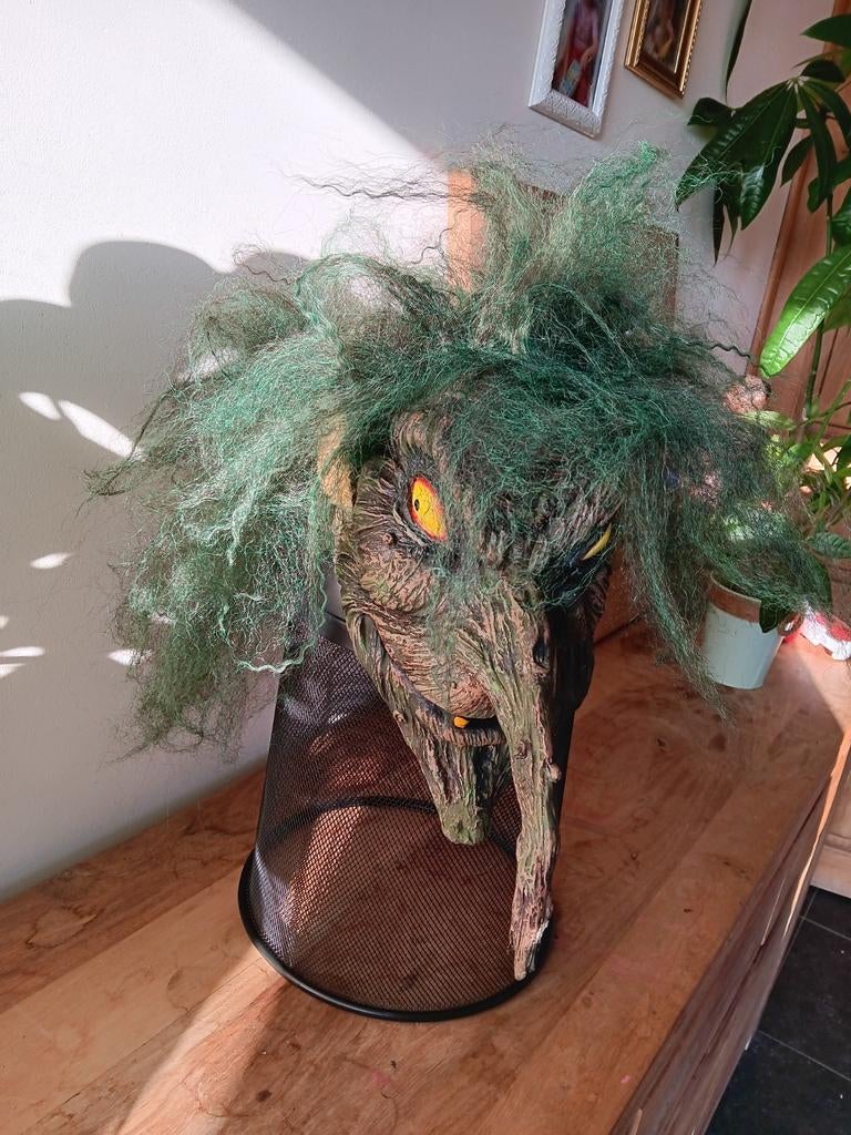 Carnaval maskers 15€/stuk, Ophalen of Verzenden