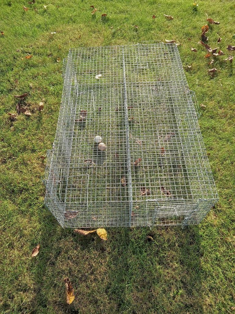 Rattenval  ,  Verschillende vallen prijs vanaf 15€