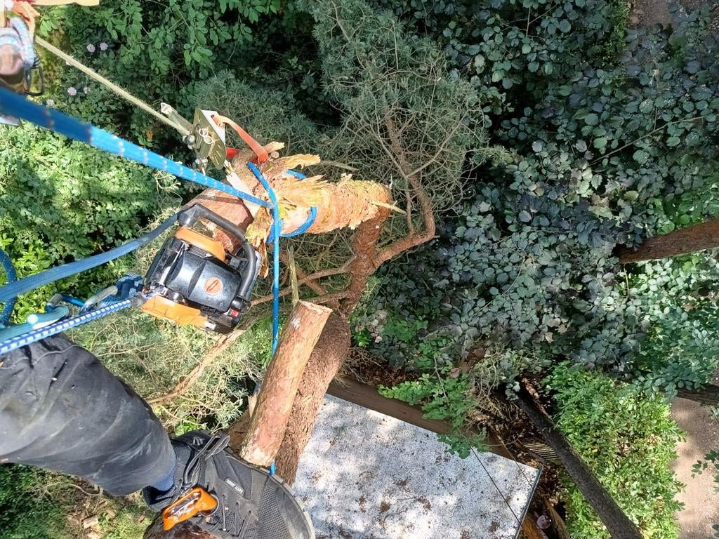 Tuinman / boomverzorging / houthakker / schrijnwerker, Services & Professionnels, Jardiniers & Paveurs