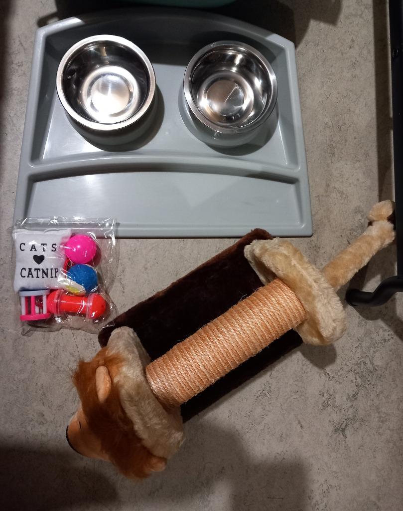 Lot pour accueillir votre petite boule de poils 🐾🐱, Enlèvement, Neuf