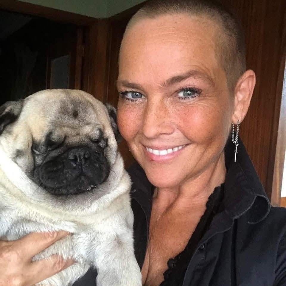 Maison, ferme ou ferme à louer, à acheter ou à louer, Maison individuelle, 3 pièces, Province de Limbourg
