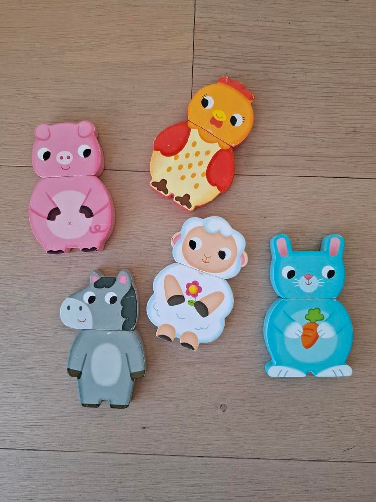 Jeu animaux aimantés, Enlèvement