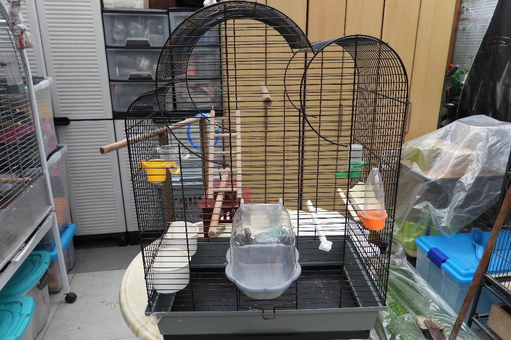 kooi, Dieren en Toebehoren, Ophalen, Gebruikt, Overige materialen, Vogelkooi