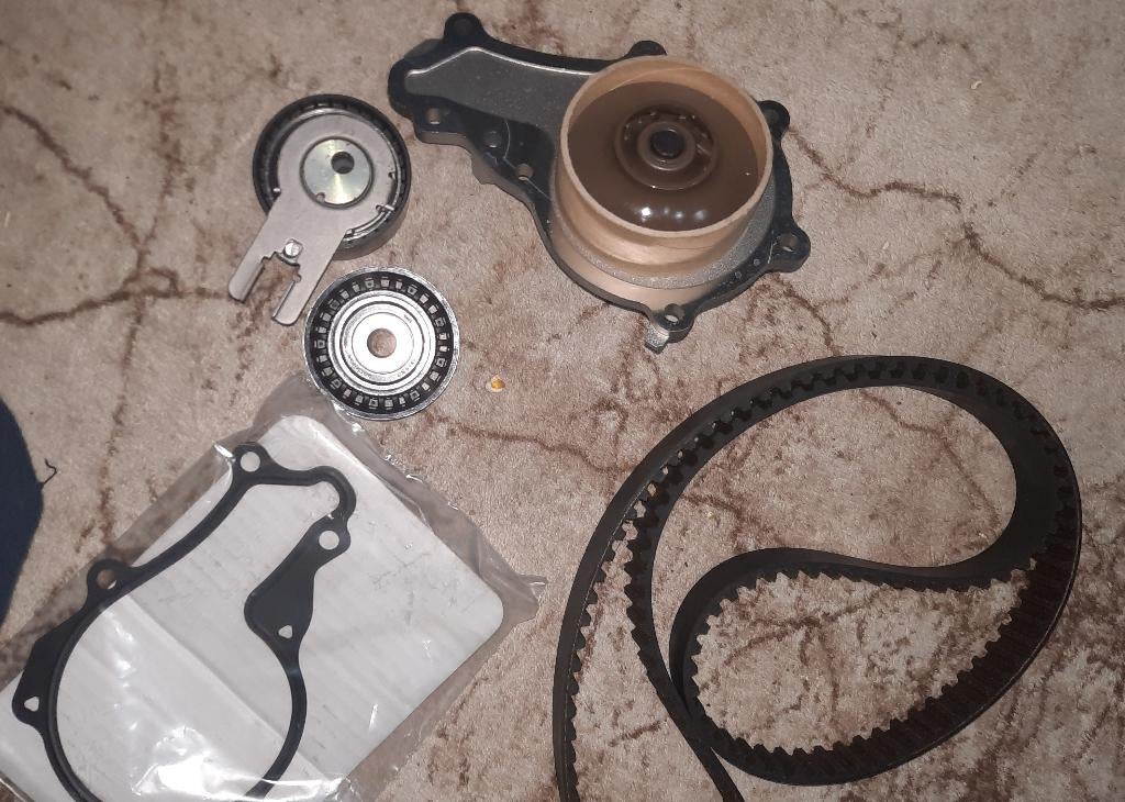 waterpomp en distributieriem kit, Ophalen, Nieuw, Fiat