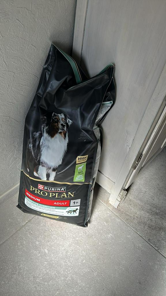 Hondeneten, Dieren en Toebehoren, Dierenvoeding, Ophalen, Hond