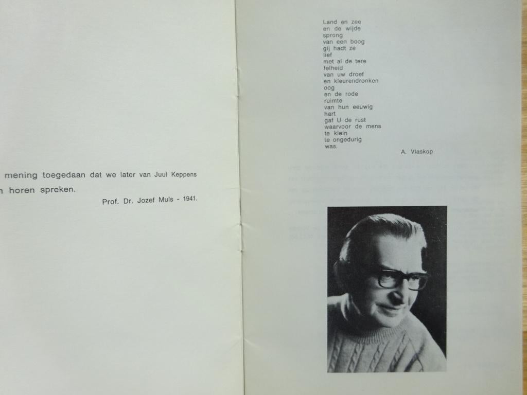 Juul Keppens 60, monografische brochure 1970, Ophalen of Verzenden, Gelezen, Schilder- en Tekenkunst