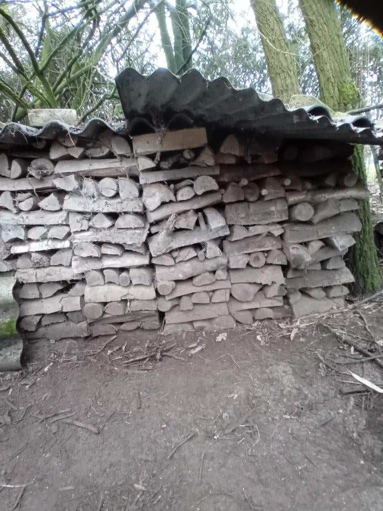 4 kuub stamhout den droog, 3 à 6 m³, Enlèvement, Autres essences de bois, Bûches