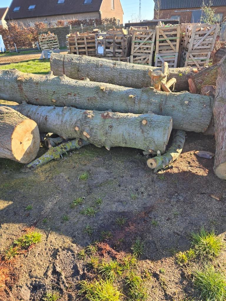 Spar brandhout stammen, Tuin en Terras, Brandhout, Ophalen