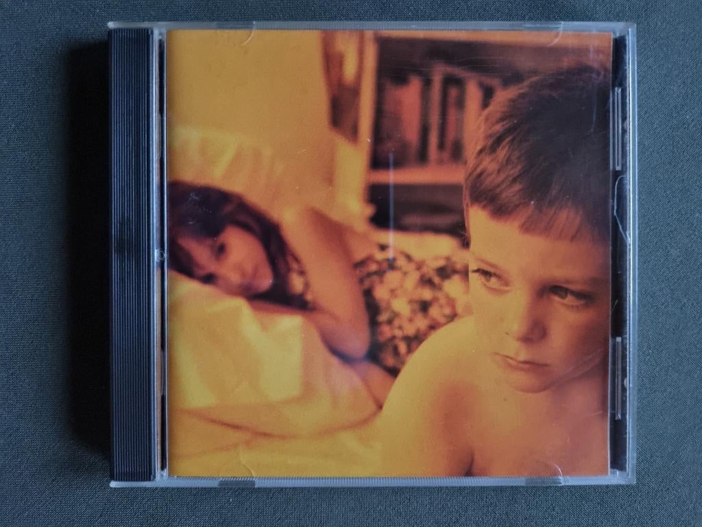 The Afghan Whigs – Gentlemen (CD Greg Dulli 1993), Ophalen of Verzenden, Alternative
