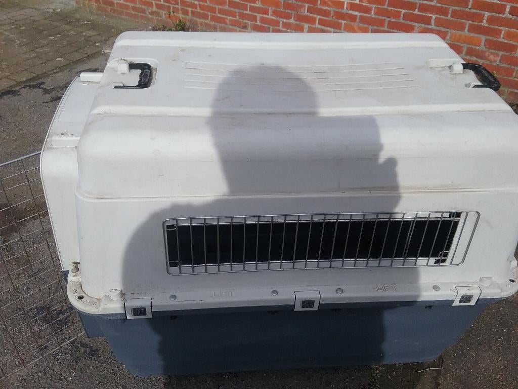 Reisbench hond, Animaux & Accessoires, Enlèvement, Utilisé