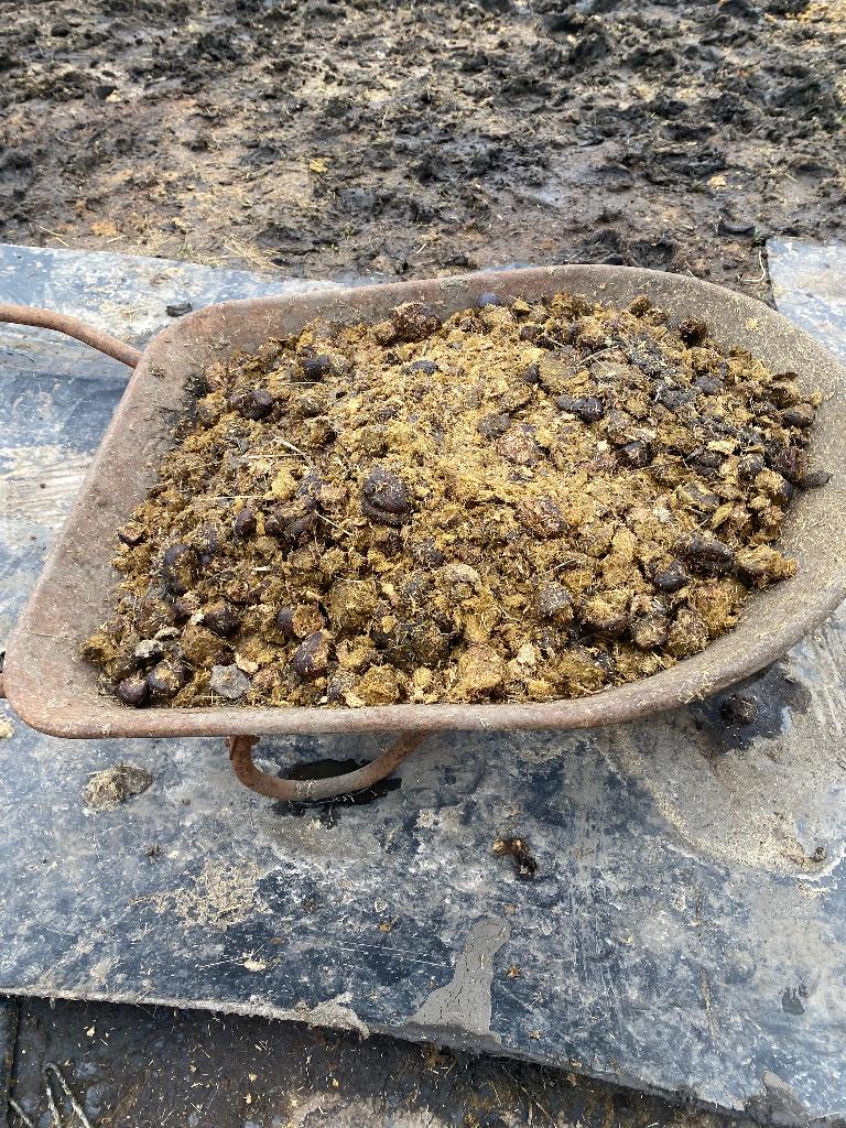 Fumier de cheval sans paille à donner, Ophalen, Mest