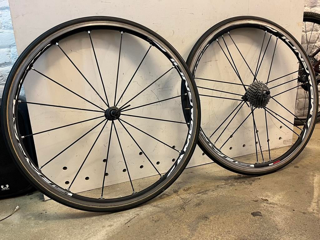 Campagnolo Shamal Ultra tubular wielen 2018, Fietsen en Brommers, Ophalen, Gebruikt, Wiel