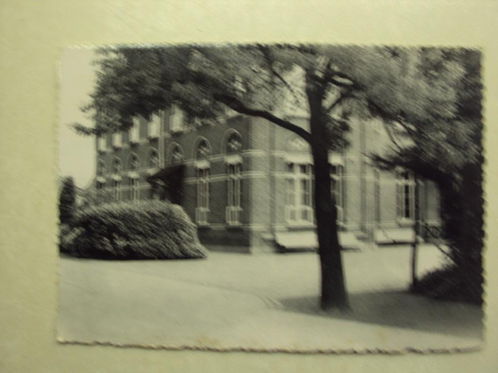 46159 - LOKEREN - ST-BENEDICTUSGESTICHT - DAGHUISHOUDSCHOOL, Verzamelen, Verzenden