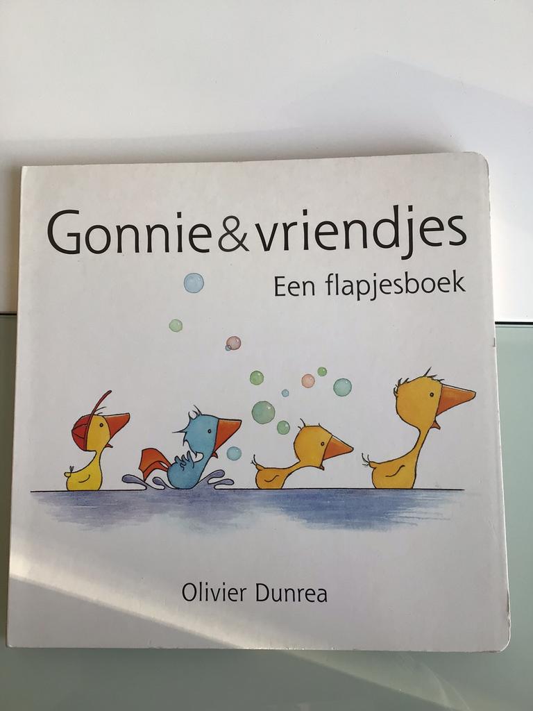 Goonies & vriendjes een flapjesboek, Boeken, Ophalen of Verzenden, Zo goed als nieuw
