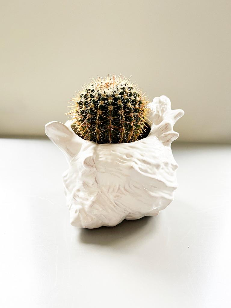 Vintage schelp vaas of bloempot in wit aardewerk, Gebruikt, Wit, Aardewerk of Porselein, Ophalen of Verzenden