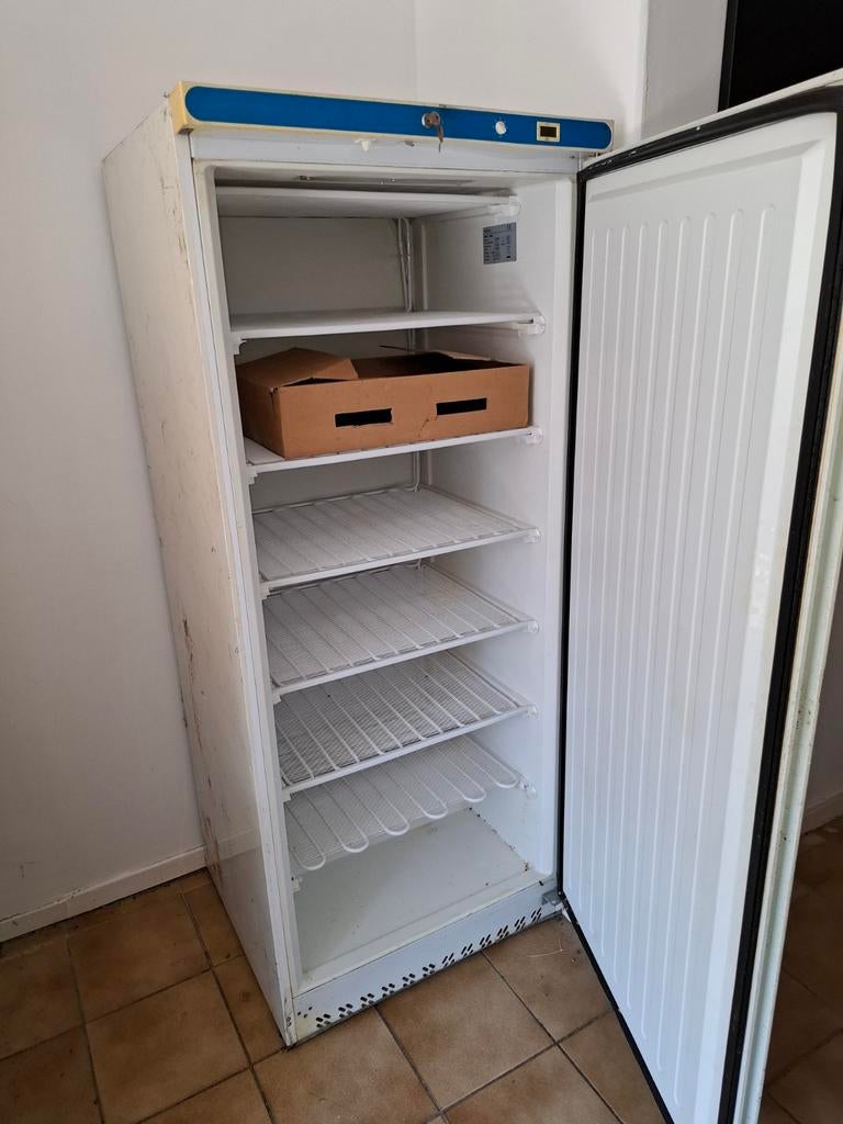 Congelateur gros volume, Electroménager, Congélateurs, Congélateur