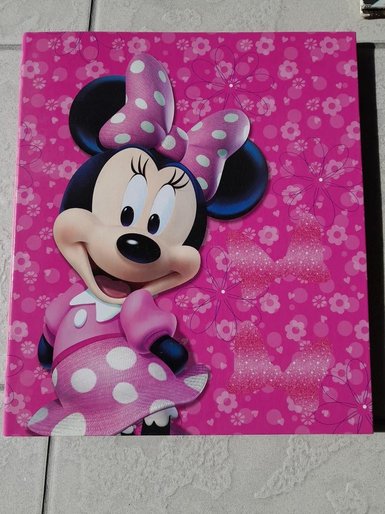 Ringmap disney, Verzamelen, Ophalen, Zo goed als nieuw